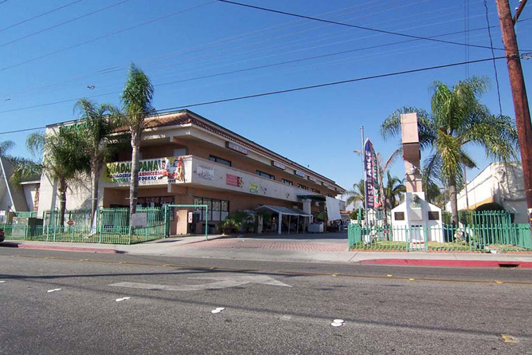 Shopping center with palm trees and banners.